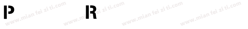 Pavia Regular 语言英文字体转换